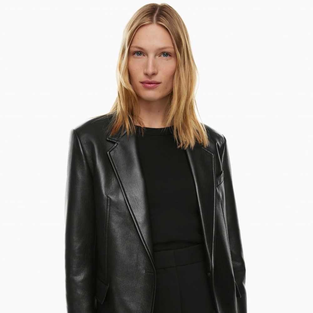 Aritzia Babaton Smith Blazer